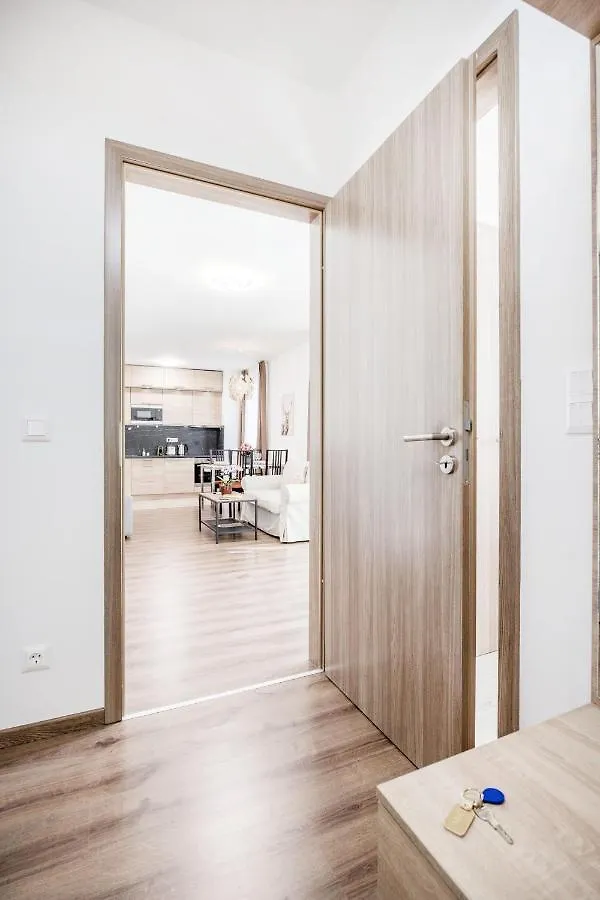 211 / 1 Bedroom / Modern Condo In City Center Budapest Apartment